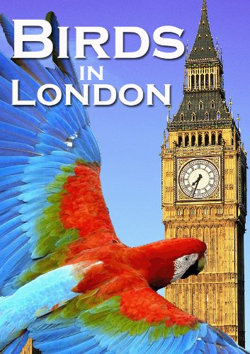 Birds in London